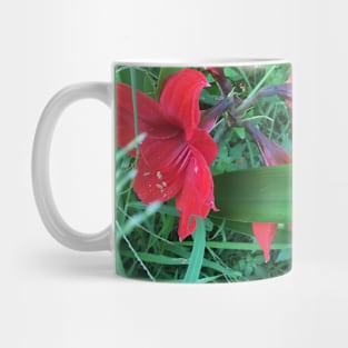 Amaryllis Surprise Mug